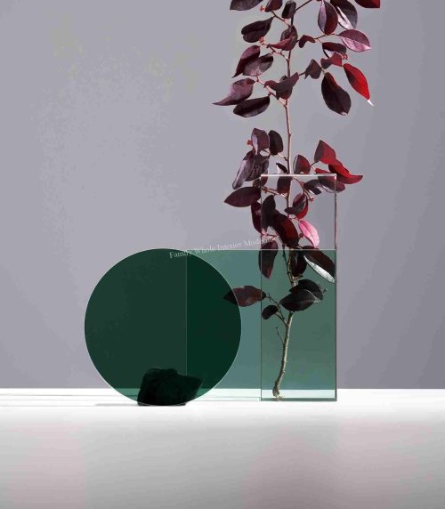 Artistic Plant Arrangement